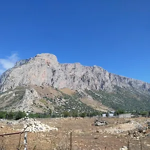 Casa vacanze La Cinisara, Cinisi